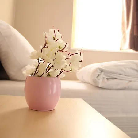 Downtown Skadarlija *